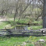 Little Spring Behind Foye Cabin